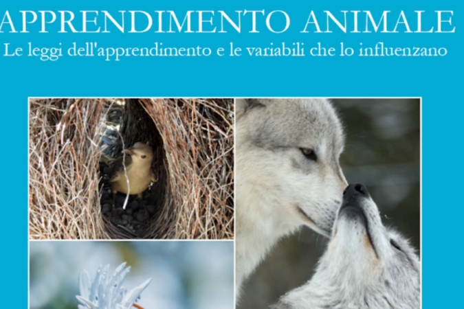 “Apprendimento animale” Webinar gratuito con il Dottor Marchesini