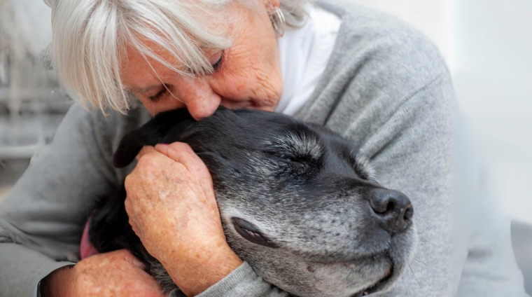 pet loss - lutto e cordoglio nei diversi protagonisti