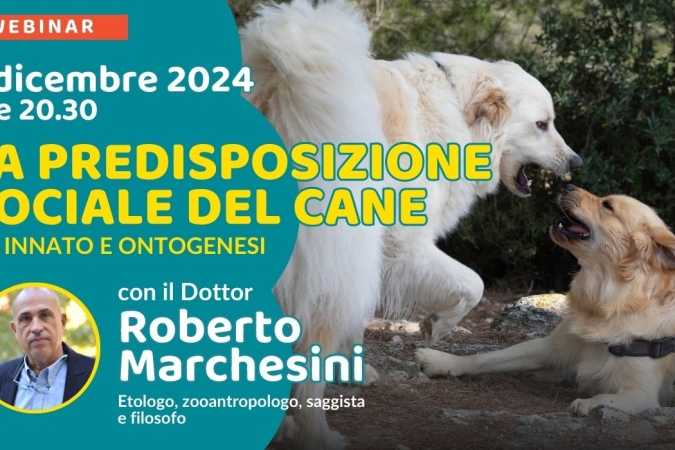 “La predisposizione sociale del cane: innato e ontogenesi” con Dott. Roberto Marchesini – Lezione 1