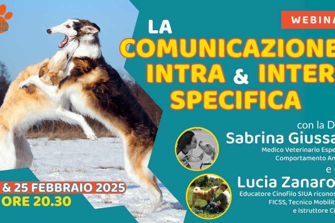 “La comunicazione inter & intra specifica” con la Dott.ssa Sabrina Giussani e Lucia Zanarotti – Lezione 2