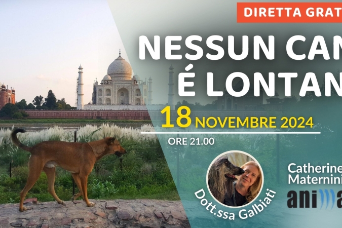 “Nessun Cane è lontano” con con Dott.ssa Katia Galbiati e Catherine Maternini di Animare