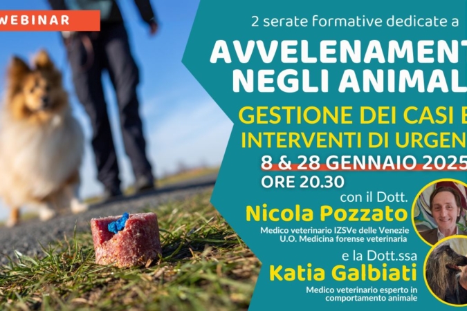 “Avvelenamenti negli animali: gestione dei casi ed interventi d’urgenza” con il Dott. Nicola Pozzato e la Dott.ssa Katia Galbiati – Lezione 2