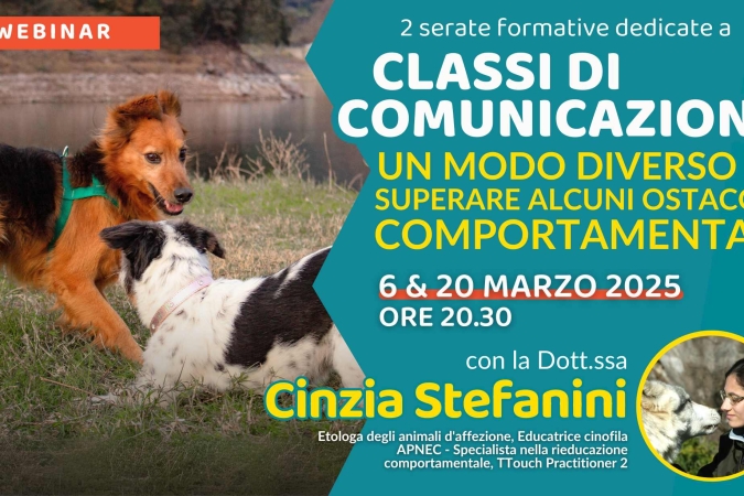 “Classi di comunicazione: un modo diverso di superare alcuni ostacoli comportamentali” con la Dott.ssa Cinzia Stefanini – Lezione 2