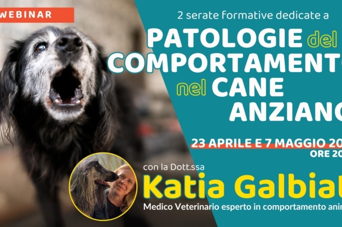 “Patologie del comportamento nel cane anziano” con la Dott.ssa Katia Galbiati – Lezione 2