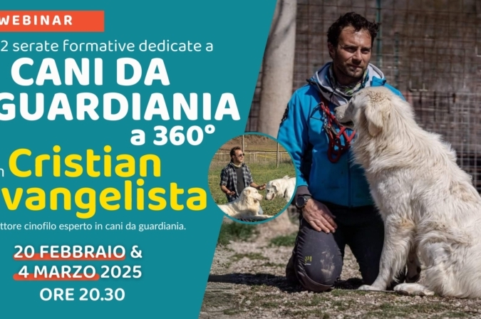 “Cani da guardiania a 360 gradi” con Cristian Evangelista – Lezione 2