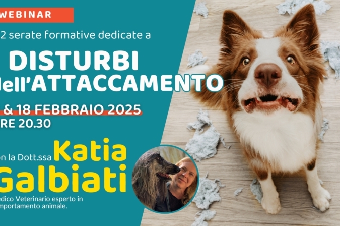 “Disturbi dell’attaccamento” con la Dott.ssa Katia Galbiati – Lezione 2