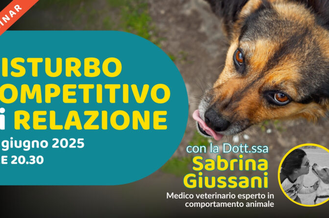 “Disturbo competitivo di relazione” con la Dott.ssa Sabrina Giussani – Lezione 3