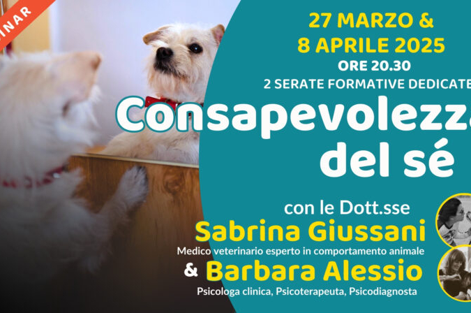 “Consapevolezza del sé” con la Dott.ssa Sabrina Giussani e la Dott.ssa Barbara Alessio – Lezione 2