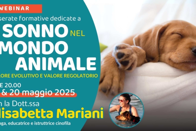 “Il sonno nel mondo animale: valore evolutivo e valore regolatorio” con la Dott.ssa Elisabetta Mariani – Lezione 2