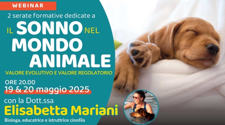 mariani sonno