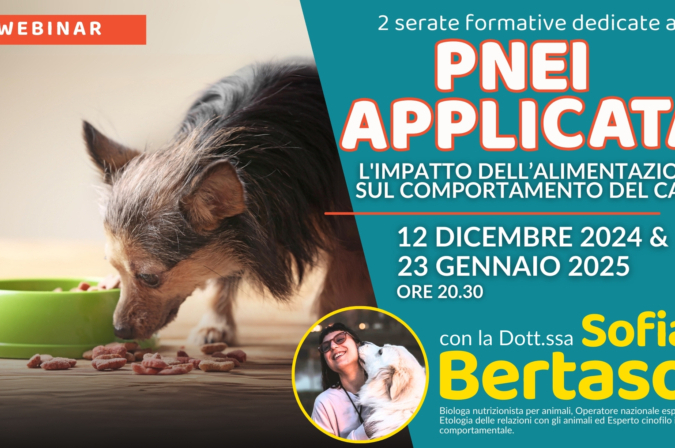 “PNEI Applicata: l’impatto dell’alimentazione sul comportamento del cane, dal teorico al pratico” con la Dott.ssa Sofia Bertaso – Lezione 2