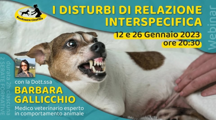 Il disturbo di relazione interspecifica locandina