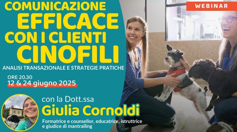 Locandina_WEB_Efficacia_relazionale_Cornoldi